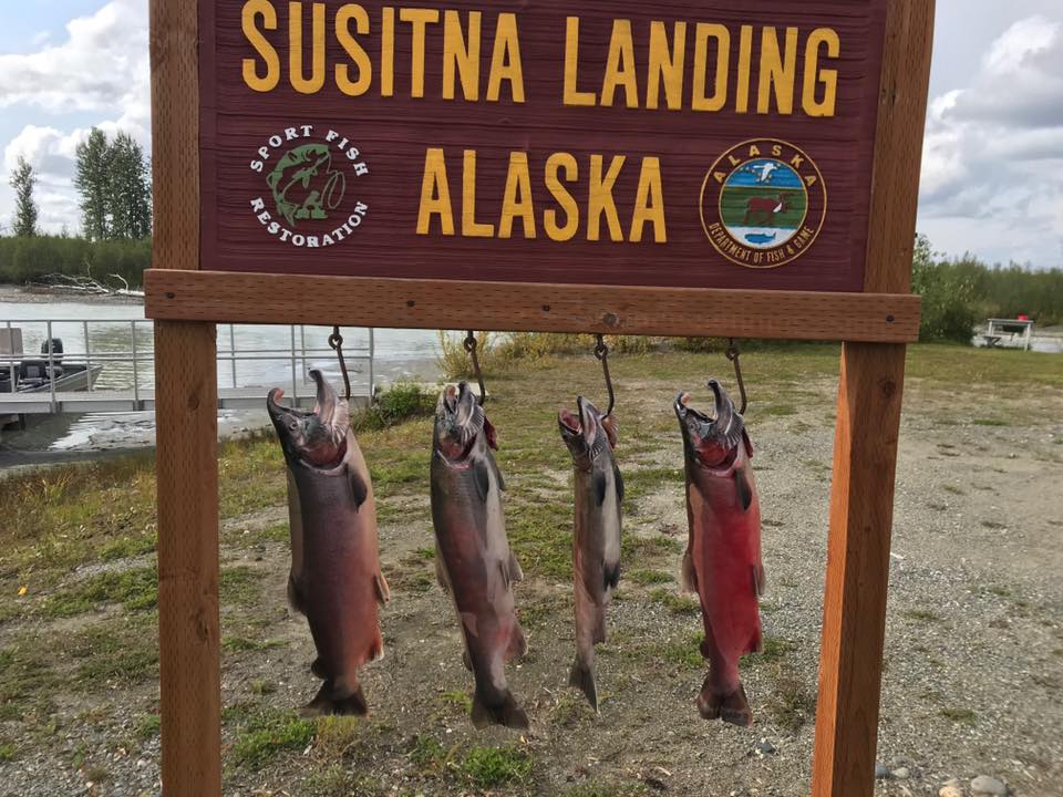 Susitna Landing Campground Reservations | 14400 Susitna Landing Rd, Willow, AK 99688, USA | Phone: (907) 495-7700