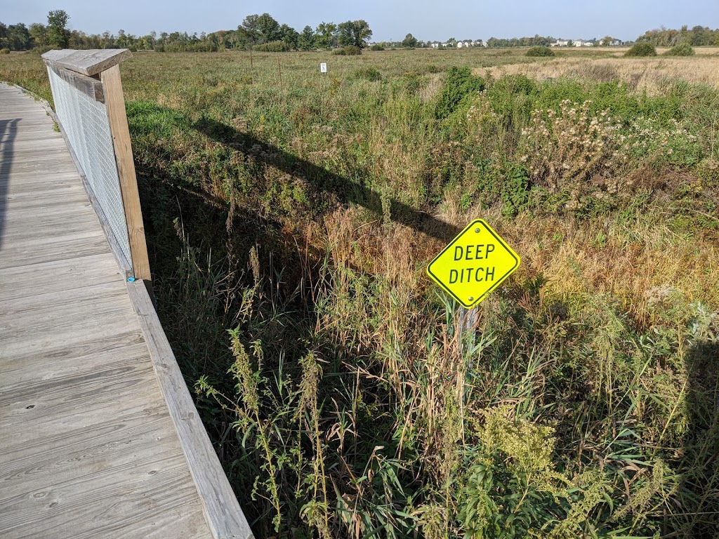 Blaine Wetland Sanctuary | 11980 Lexington Ave NE, Blaine, MN 55449, USA | Phone: (763) 785-6164