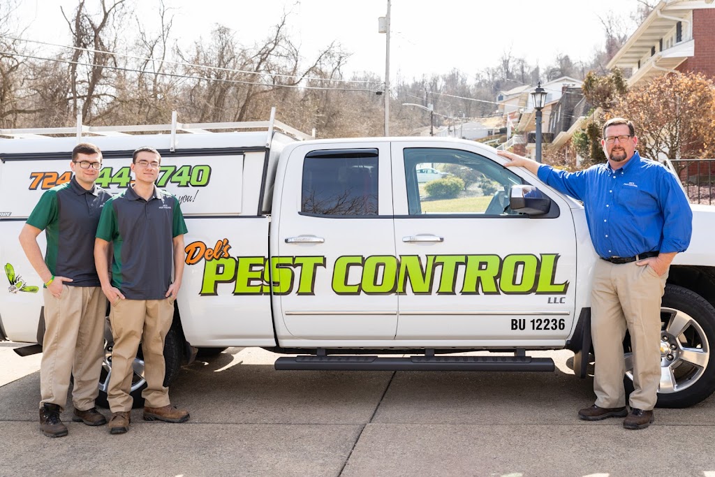 Dels Pest Control LLC. | Box 55, 120 Crest Ave, Charleroi, PA 15022, USA | Phone: (724) 344-9740