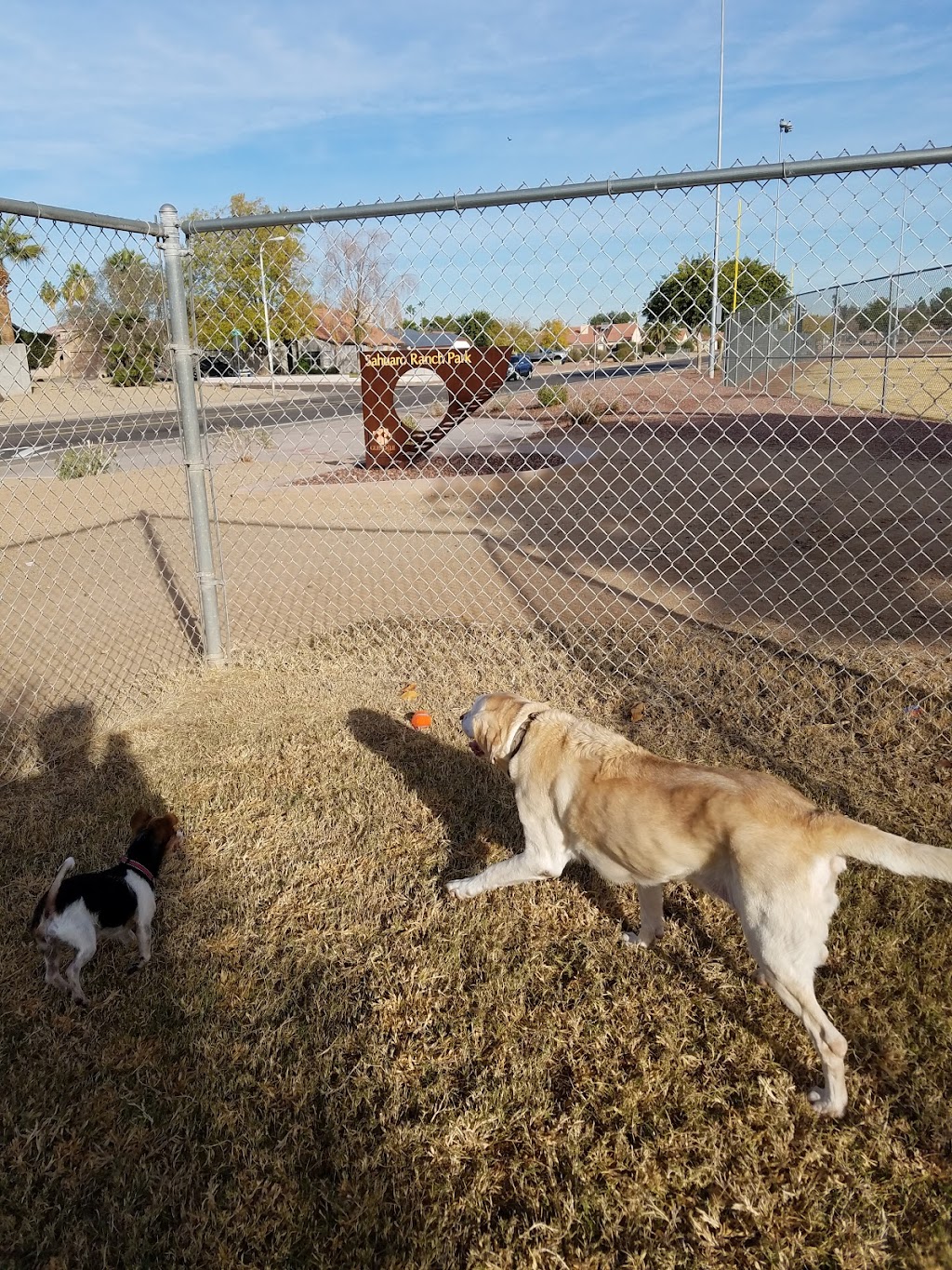 Sahuaro Ranch Dog Park | 9901 N 63rd Ave, Glendale, AZ 85302, USA | Phone: (623) 930-2820