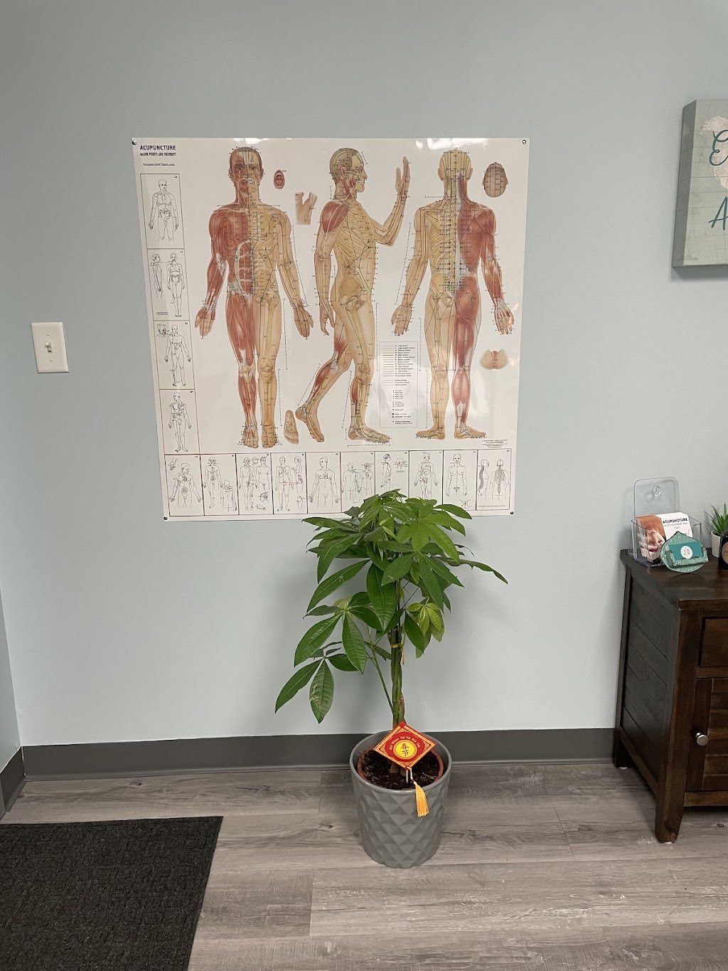 JD Acupuncture | 200 Boundary Ave SUITE 201, Massapequa, NY 11758, USA | Phone: (516) 540-9622