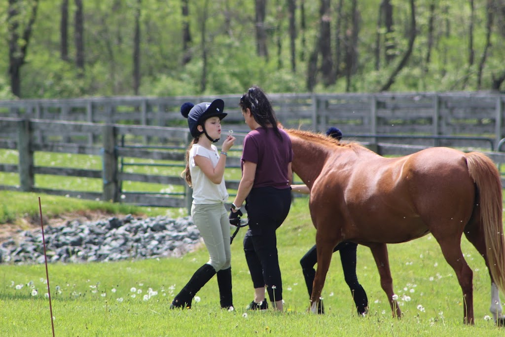 La Bona Vivo Equestrian | La Bona Vivo, LLC, 190 W Mill Rd, Long Valley, NJ 07853, USA | Phone: (207) 692-3340