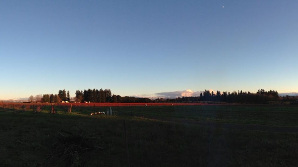 Nappe Farms- U Pick Blueberries | 10280 SE Orient Dr, Boring, OR 97009, USA | Phone: (503) 663-0885