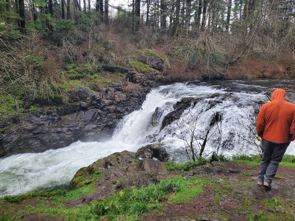 Moulton Falls Regional Park | 27781 NE Lucia Falls Rd, Yacolt, WA 98675, USA | Phone: (564) 397-2285