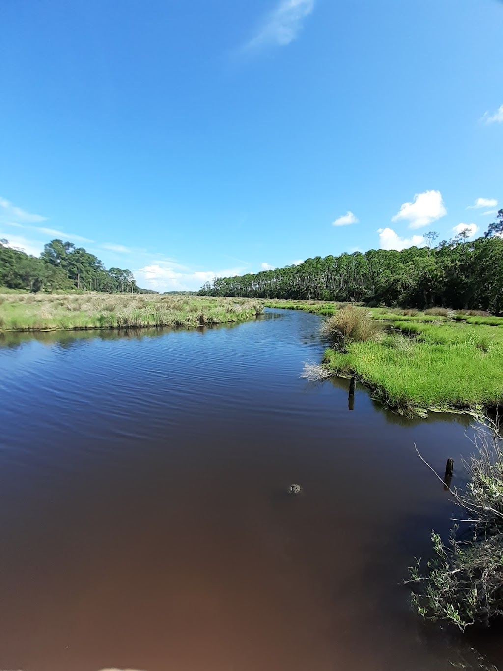 Belmore State Forest - Satsuma Tract | 4980 FL-16 W, Starke, FL 32091 | Phone: (904) 529-2358