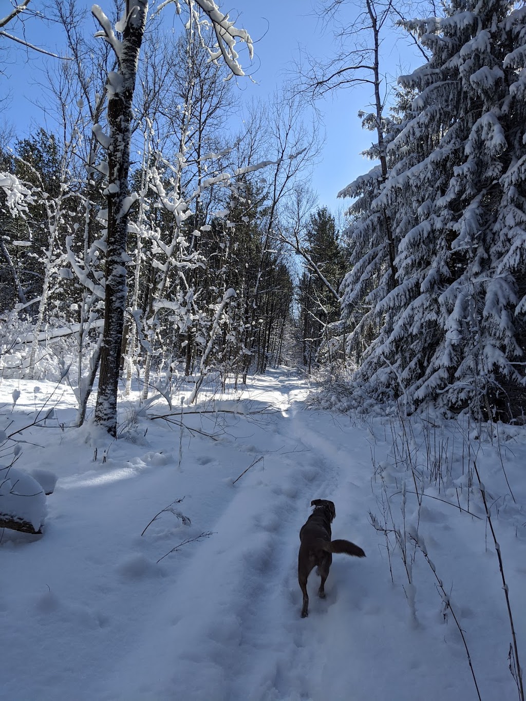 Boston Forest County Park Trailhead | Boston, NY 14025 | Phone: (716) 858-7037