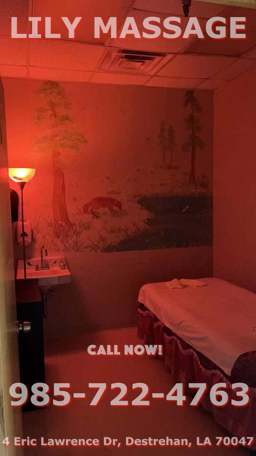 Lily Massage | 4 Eric Lawrence Dr Suite #B8, Destrehan, LA 70047, USA | Phone: (985) 722-4763