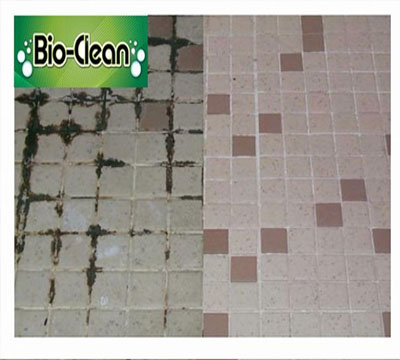 Bio-Clean of Collegeville | 437 W Main St Suite 2, Trappe, PA 19426, USA | Phone: (484) 854-2510