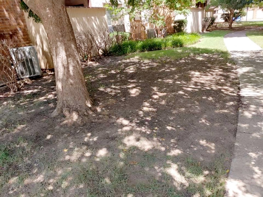 DJ & Sons Services | 3303 Bridlegate Dr, Arlington, TX 76016, USA | Phone: (682) 233-0098