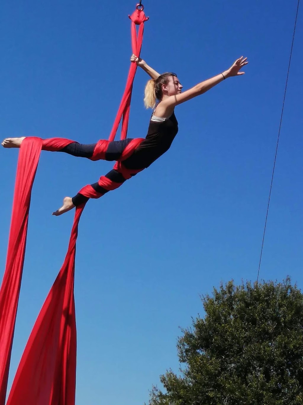 Circus On The Ranch | 9855 Wauchula Rd, Myakka City, FL 34251, USA | Phone: (775) 223-9103