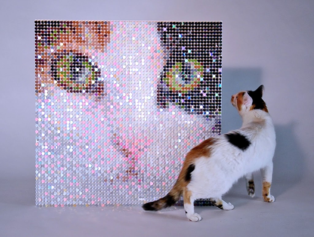 SparkleMasters | 636 E Verdugo Ave F, Burbank, CA 91501, USA | Phone: (818) 434-1464