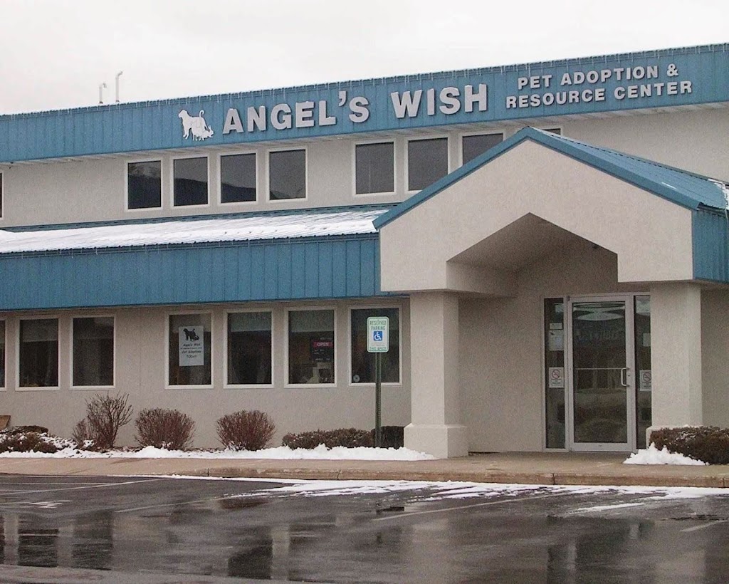 Angels Wish Pet Adoption and Resource Center | 161 Horizon Dr UNIT 106, Verona, WI 53593, USA | Phone: (608) 848-4174