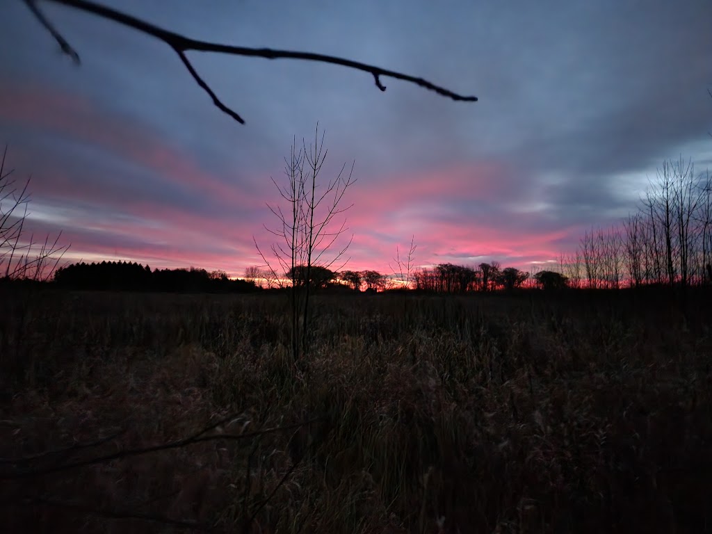 Jackson Marsh State Natural Area | West Bend, WI 53095, USA | Phone: (888) 936-7463