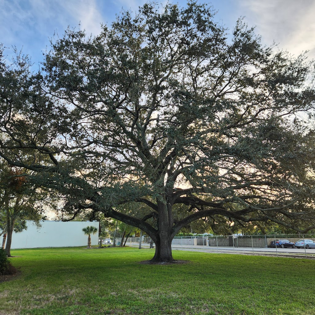 Betty Booth Roberts Park & Pool | 4200 SW 61st Ave, Davie, FL 33314, USA | Phone: (954) 797-6716