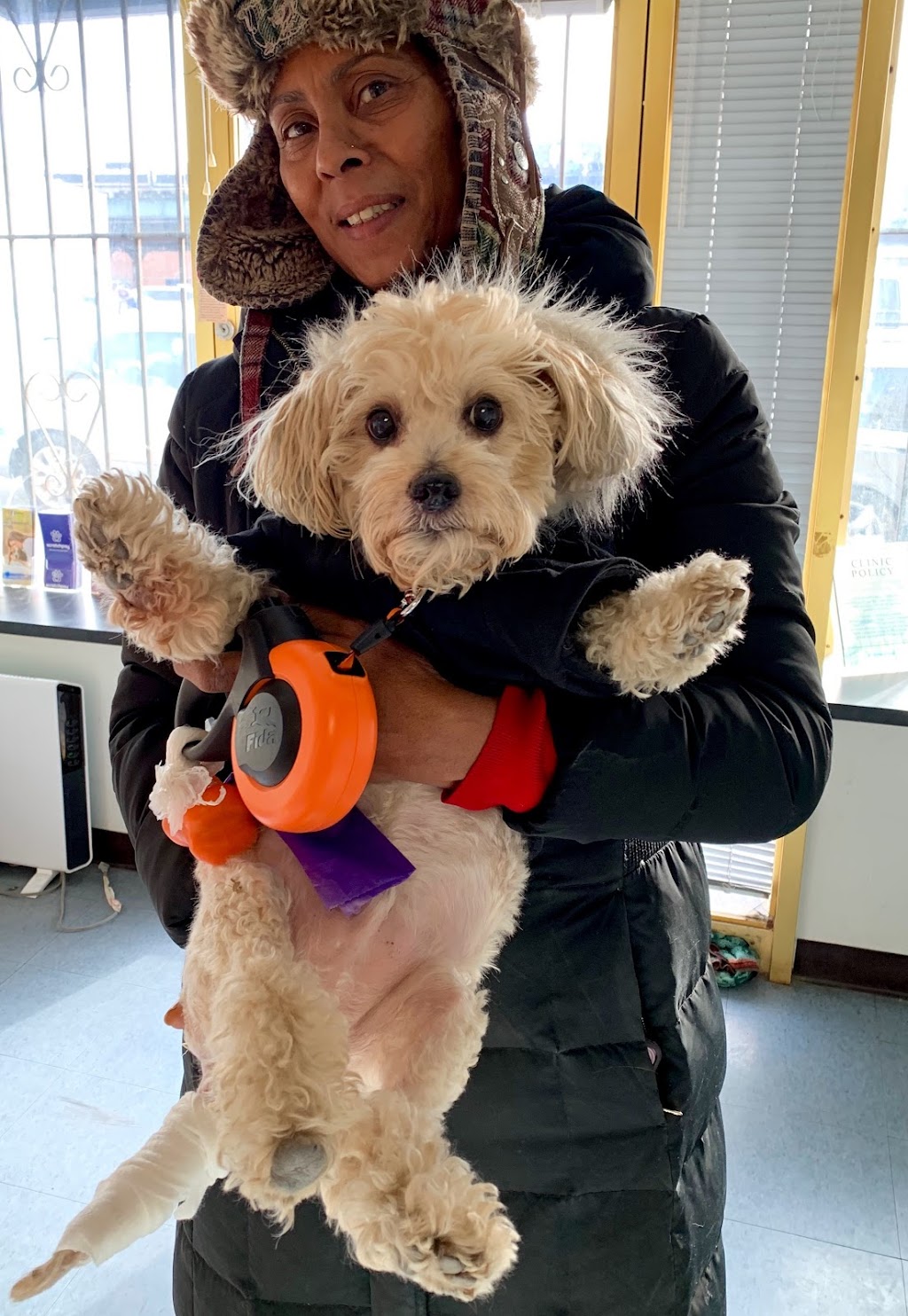 Riverdale Animal Hospital | 3619 Kingsbridge Ave, Bronx, NY 10463, USA | Phone: (718) 884-4133