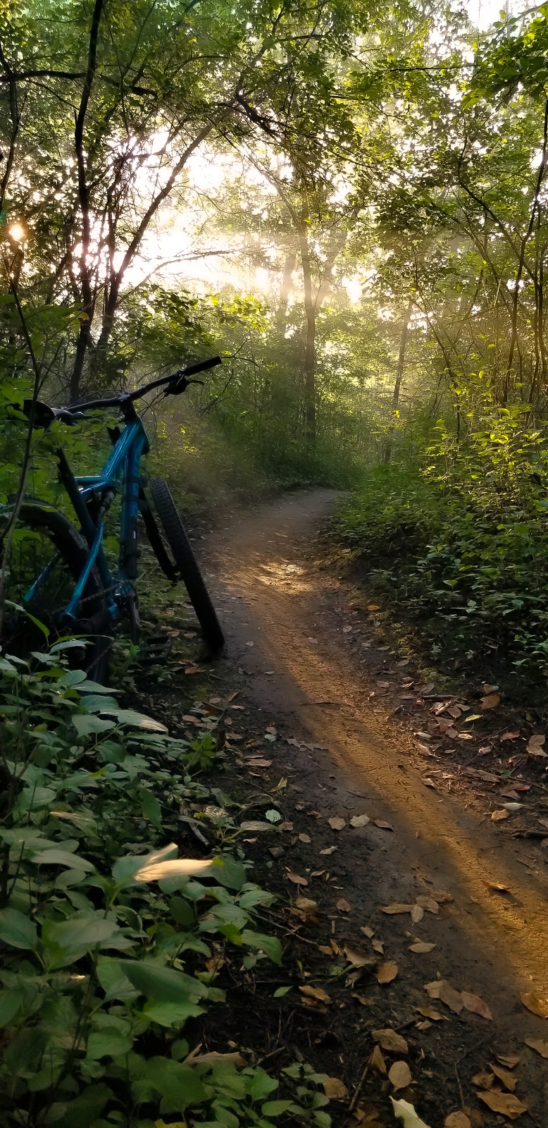 Elm Creek Singletrack Trailhead | 1688 W Hayden Lake Rd, Champlin, MN 55316, USA | Phone: (763) 694-7894