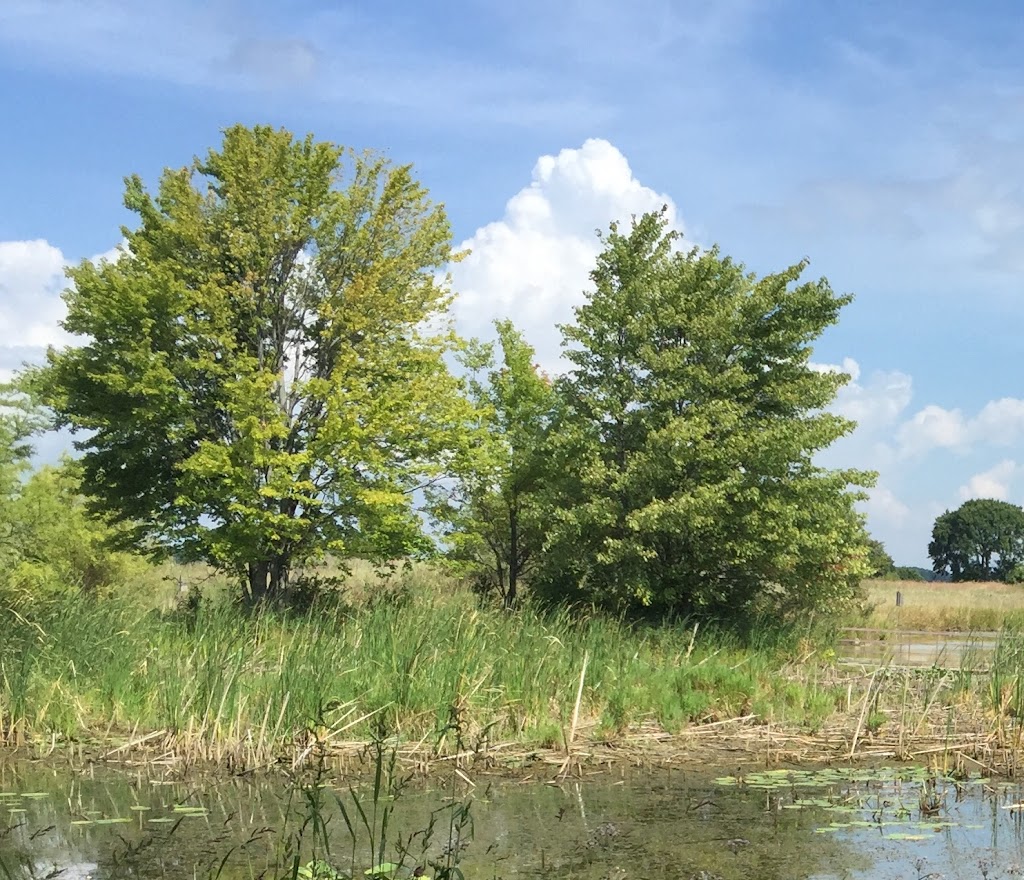 Meeman Shelby Park Nature Center | 361 Grassy Lake Rd, Millington, TN 38053, USA | Phone: (901) 876-6552