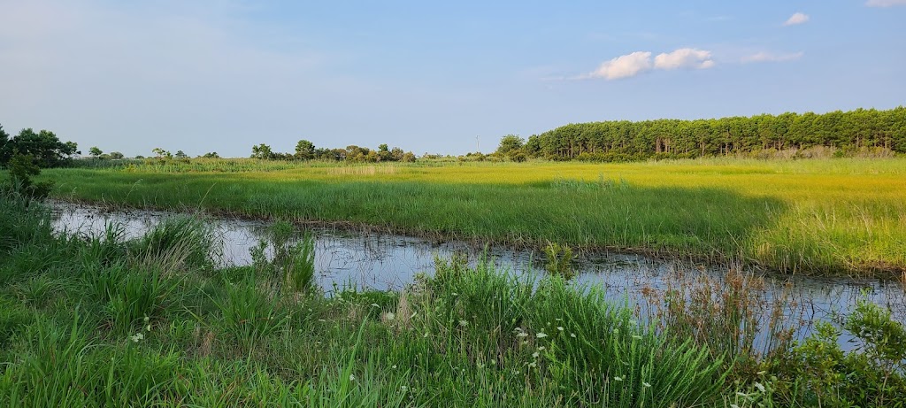 Princess Anne Wildlife Management Area Beasely Tract | Munden Rd, Virginia Beach, VA 23457, USA | Phone: (757) 323-1581