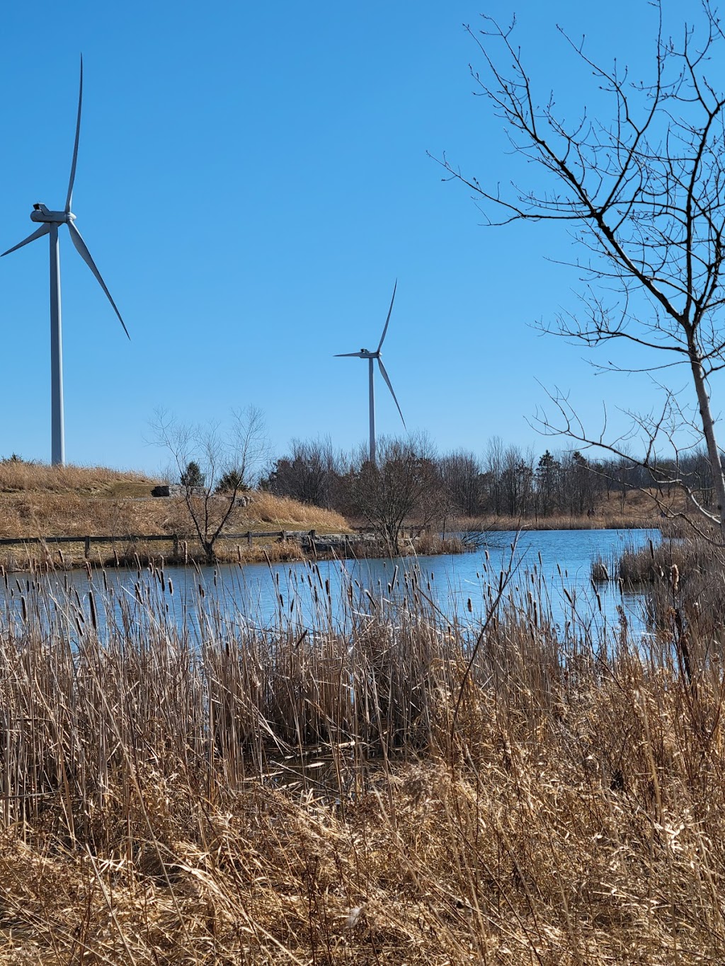 Gord Harry Conservation Trail Parking Lot | Gord Harry Conservation Trail, Wainfleet, ON L0S 1V0, Canada | Phone: (905) 788-3135