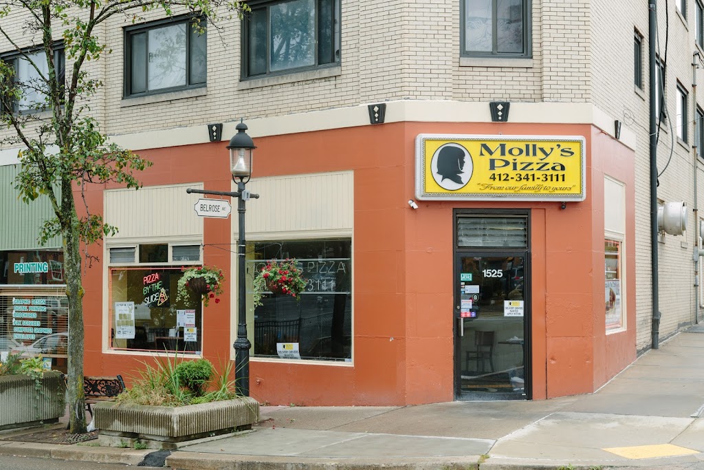 Mollys Pizza and Chicken | 1525 Potomac Ave, Pittsburgh, PA 15216, USA | Phone: (412) 341-3111
