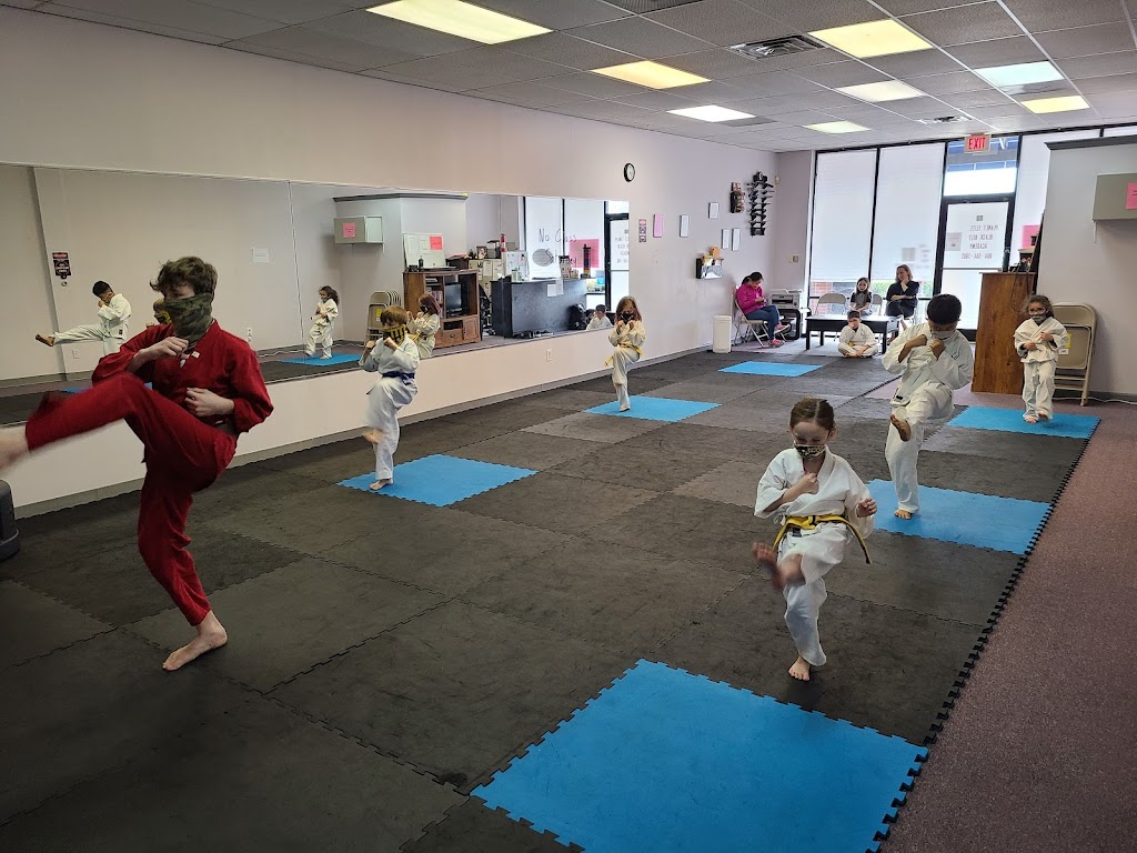 Planet Elite Martial Arts | 22 Dunlop Village, Colonial Heights, VA 23834, USA | Phone: (804) 504-5082