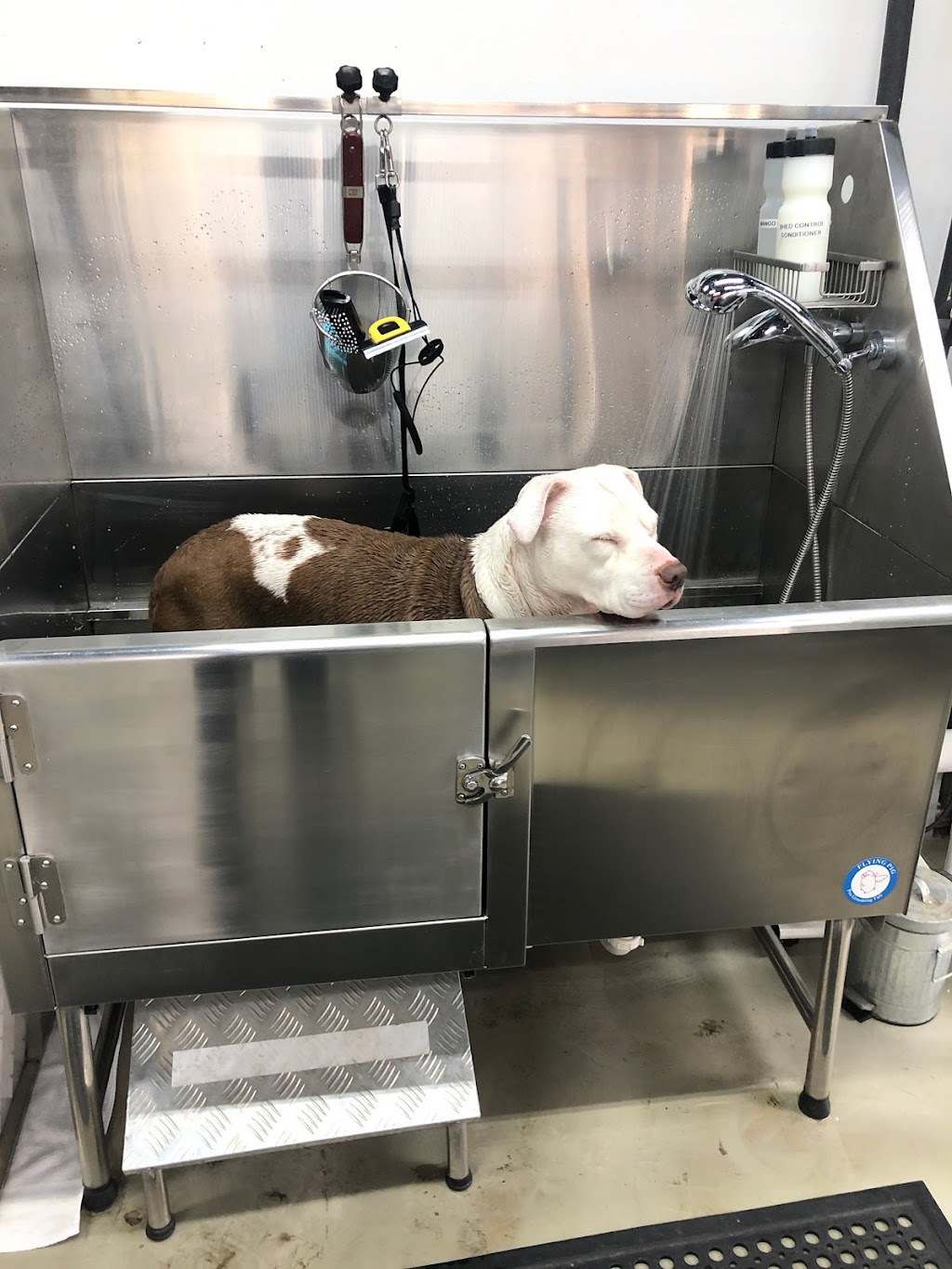 Brunos Place DIY Dog Wash (self-serve only) | 1019 W Davis St, Dallas, TX 75208 | Phone: (262) 427-8667