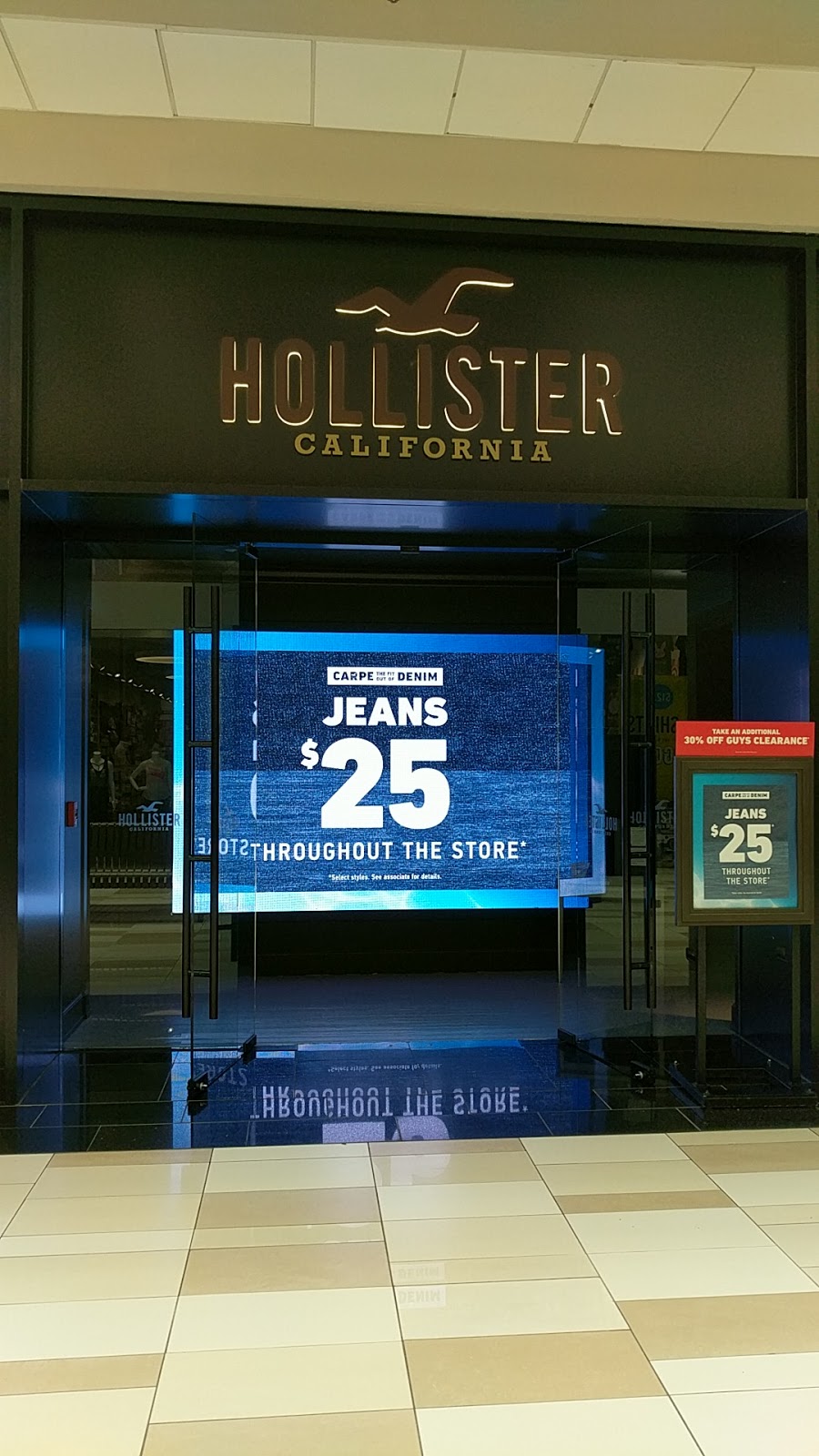 Hollister Co. | 120 Washington Ave Ext, Albany, NY 12203, USA | Phone: (518) 464-9153