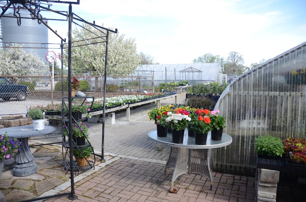 Kahls Greenhouse | 520 W Main St, Carlinville, IL 62626, USA | Phone: (217) 854-8912