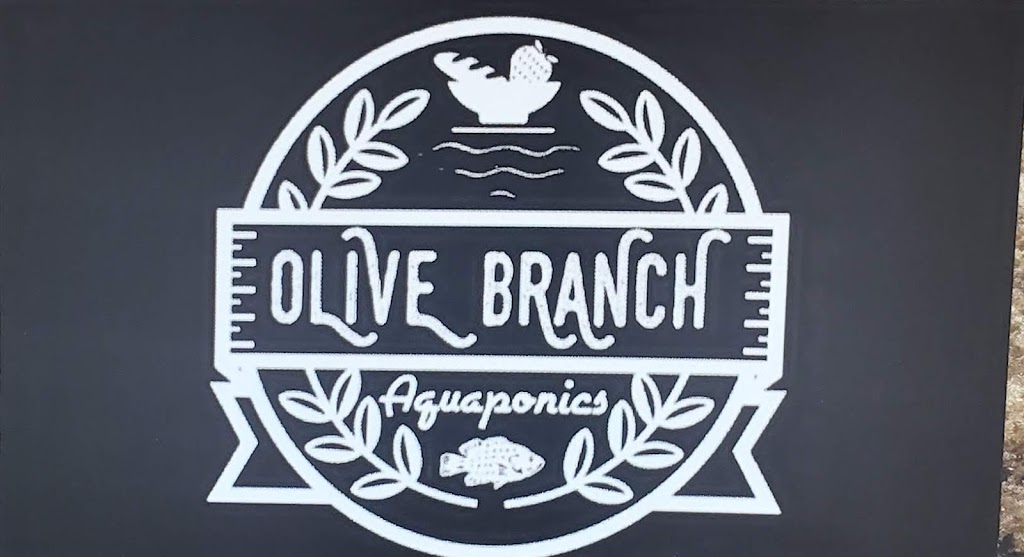 Olive Branch Aquaponics | Beggs, OK 74421, USA | Phone: (918) 695-7562