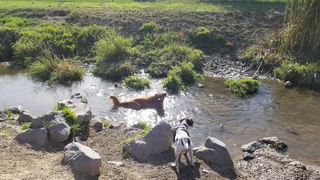 Amity Dog Park | 2900 2nd St S, Nampa, ID 83686 | Phone: (208) 468-5858