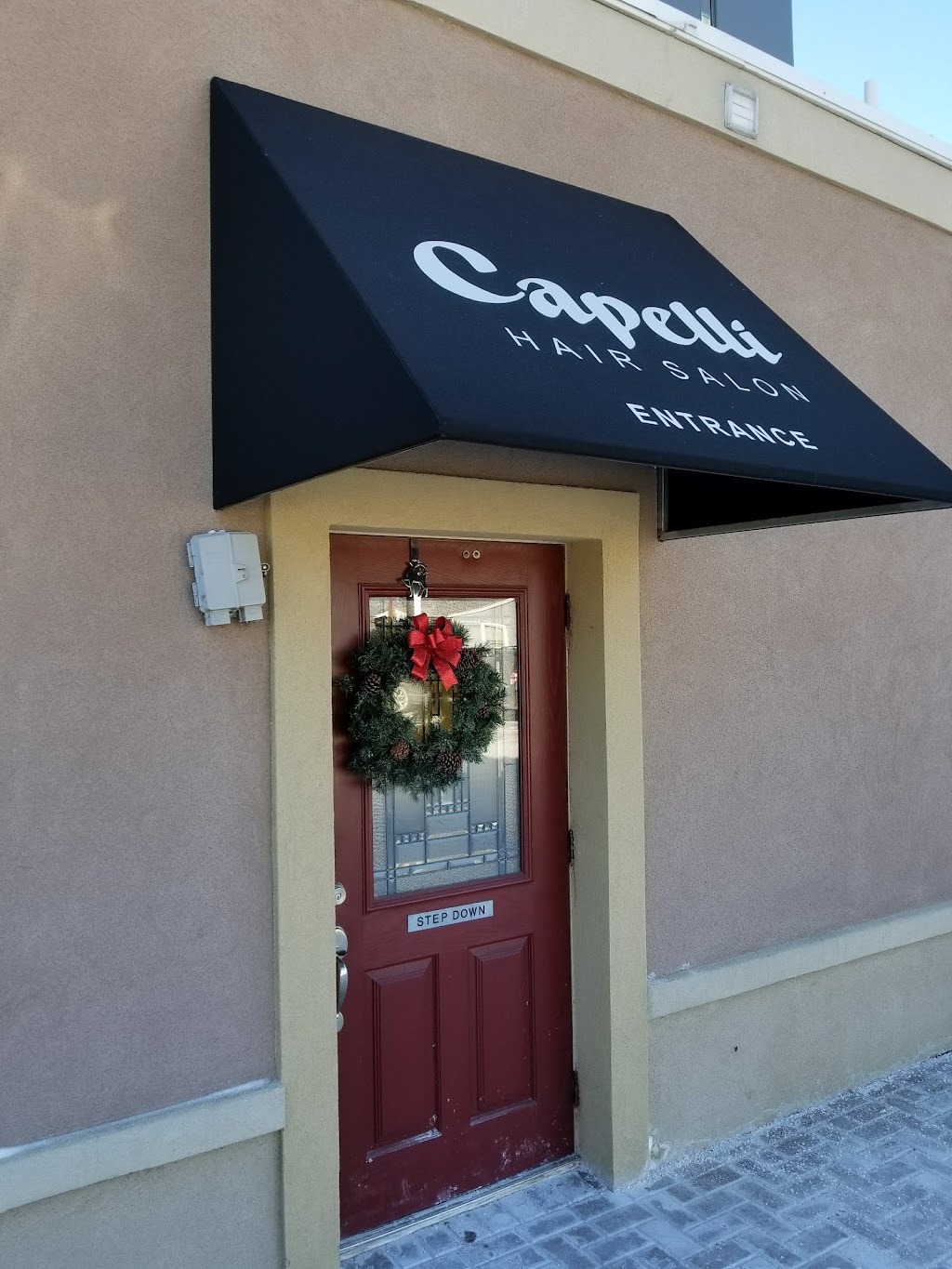 Capelli Salon | 443 S Washington Ave, Piscataway, NJ 08854, USA | Phone: (732) 968-7666