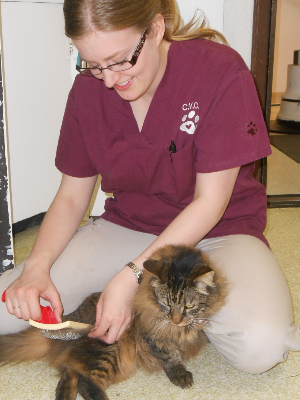 Columbia Veterinary Center: Cleveland Tammy R DVM | 5106 NE 78th St, Vancouver, WA 98665, USA | Phone: (360) 694-9514