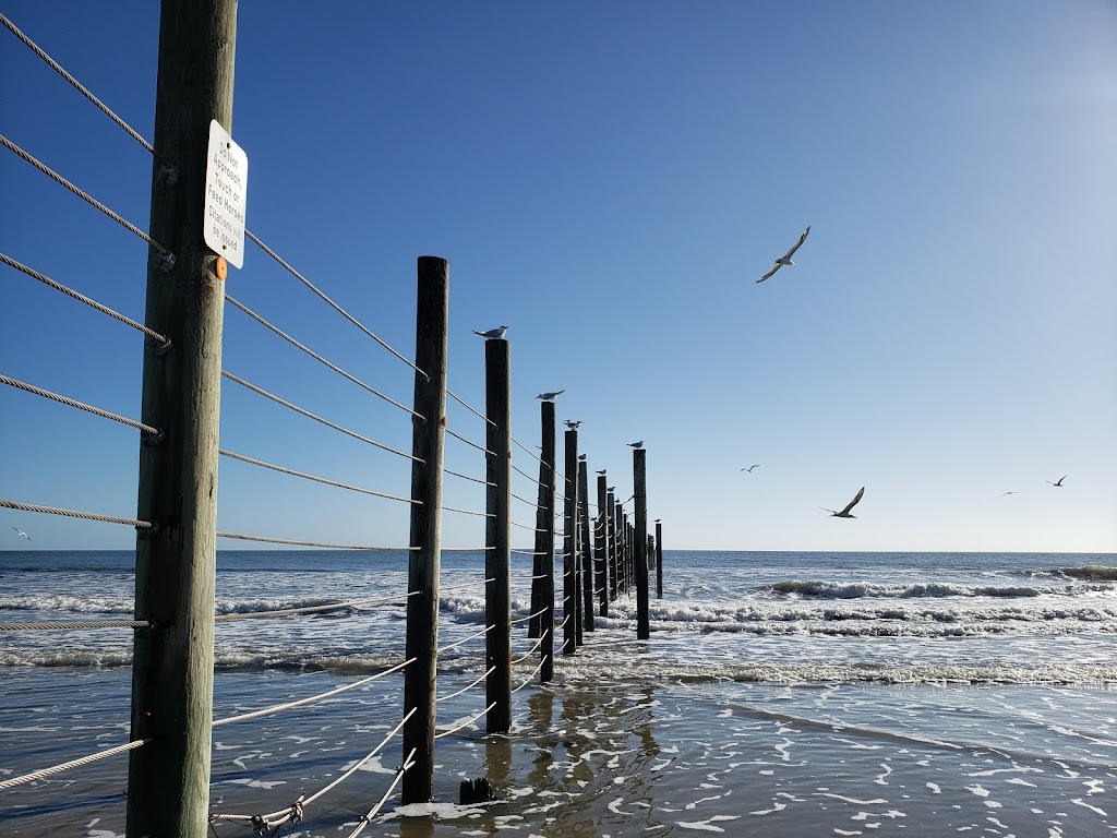 Currituck Banks Reserve | Corolla, NC 27927, USA | Phone: (252) 261-8891