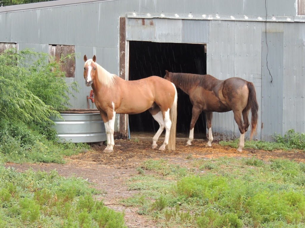 Fremont County Veterinary PC | 2838 U.S. 275 Bypass, Sidney, IA 51652, USA | Phone: (712) 374-2721