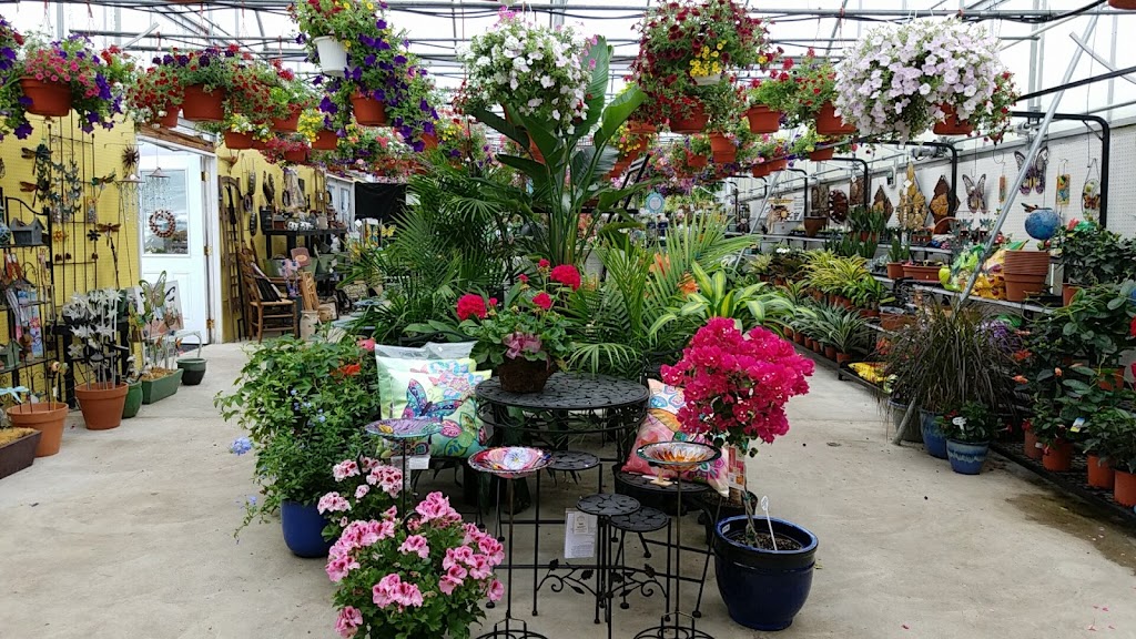 Comiskys Greenhouses Inc. | 115 Manlove Ave, Hightstown, NJ 08520, USA | Phone: (609) 448-1705