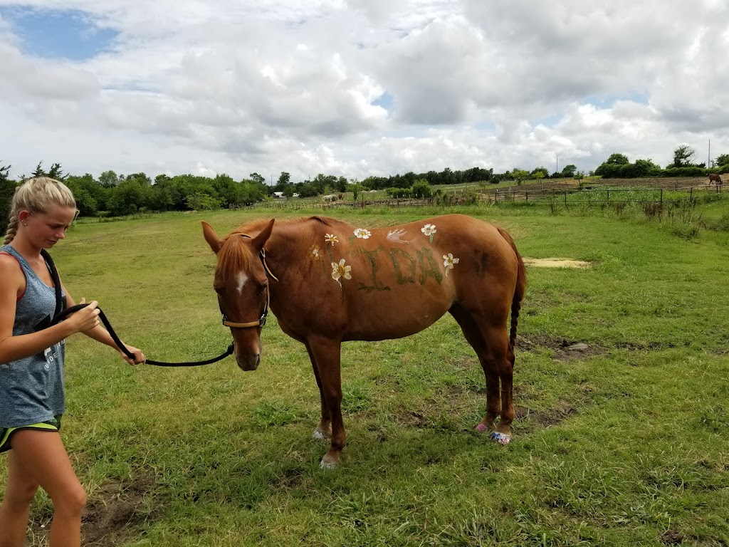 Heritage Hill Equestrian Center | 8882 Co Rd 392, Princeton, TX 75407, USA | Phone: (972) 734-9800