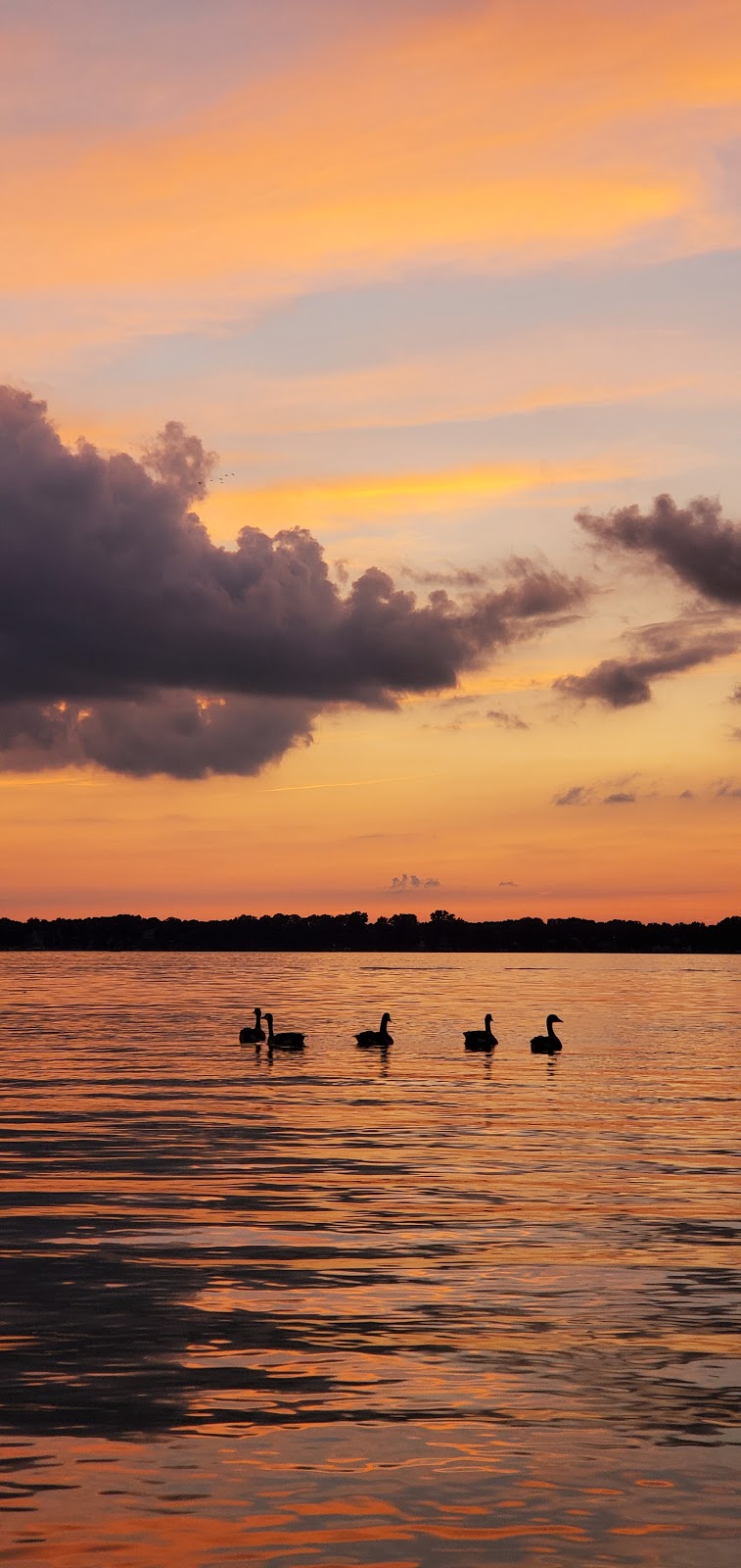 W.J. Hayes State Park Headquarters | 1220 Wamplers Lake Rd, Onsted, MI 49265, USA | Phone: (517) 467-7401