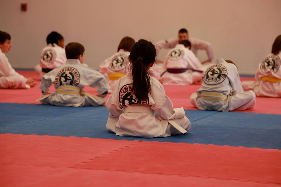 Ahn Taekwondo Institute | 11100 Kenwood Rd, Cincinnati, OH 45242, USA | Phone: (513) 791-8888