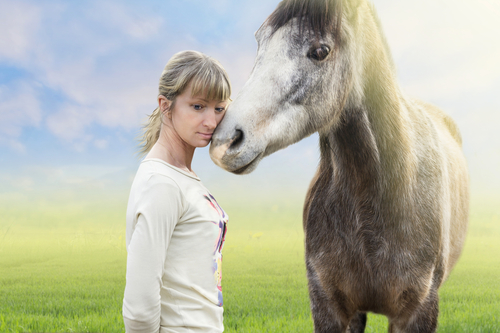 Healing Horse Therapy | 30608 NE Mc Bride Rd #1, Battle Ground, WA 98604, USA | Phone: (360) 798-2669