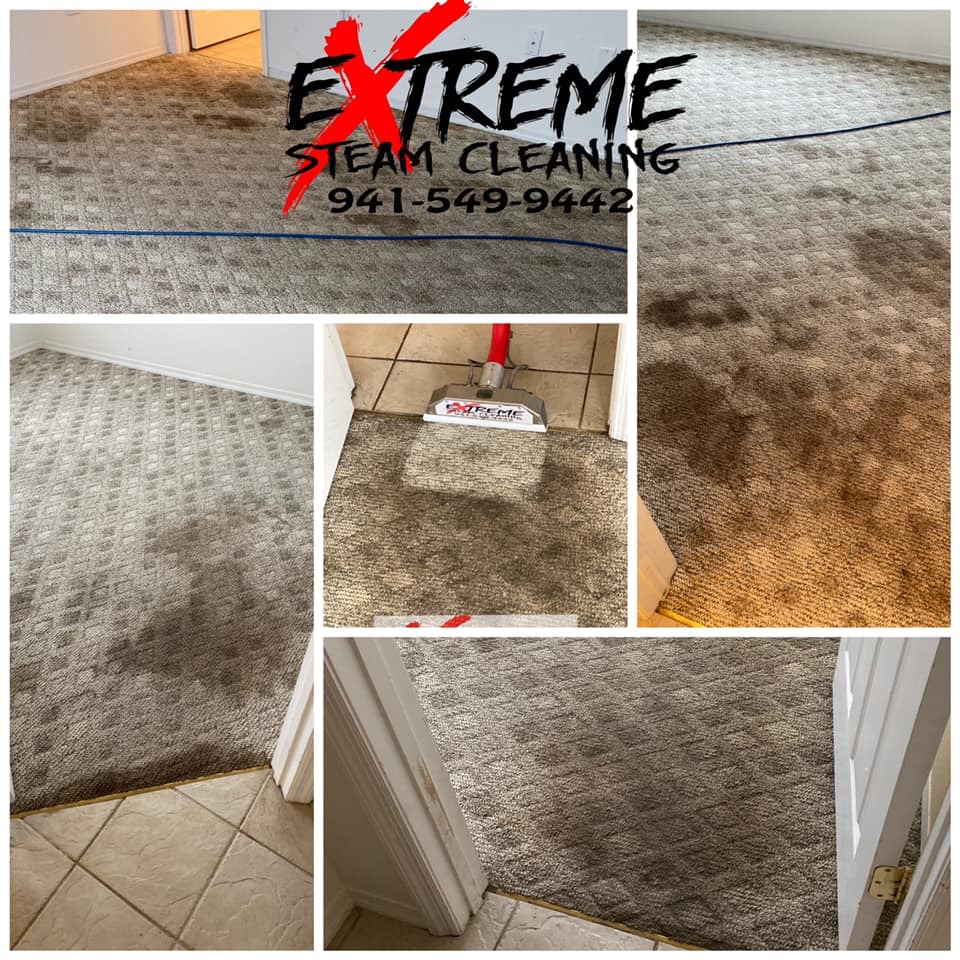 Extreme Steam Cleaning Services | 8109 18th Ave E, Palmetto, FL 34221, USA | Phone: (941) 549-9442