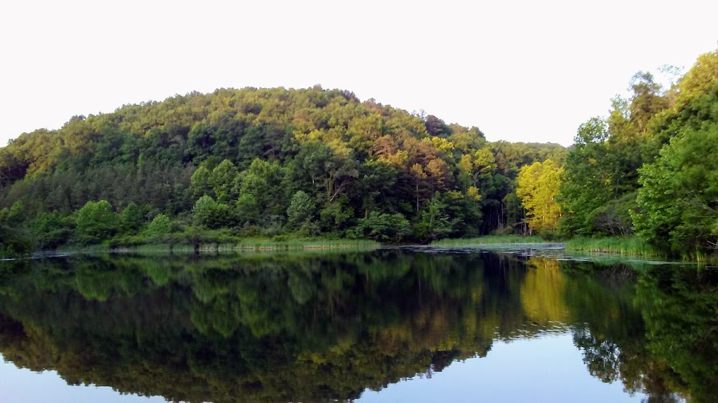 US Forestry Department | Mckee Work Ctr, McKee, KY 40447, USA | Phone: (606) 287-7832