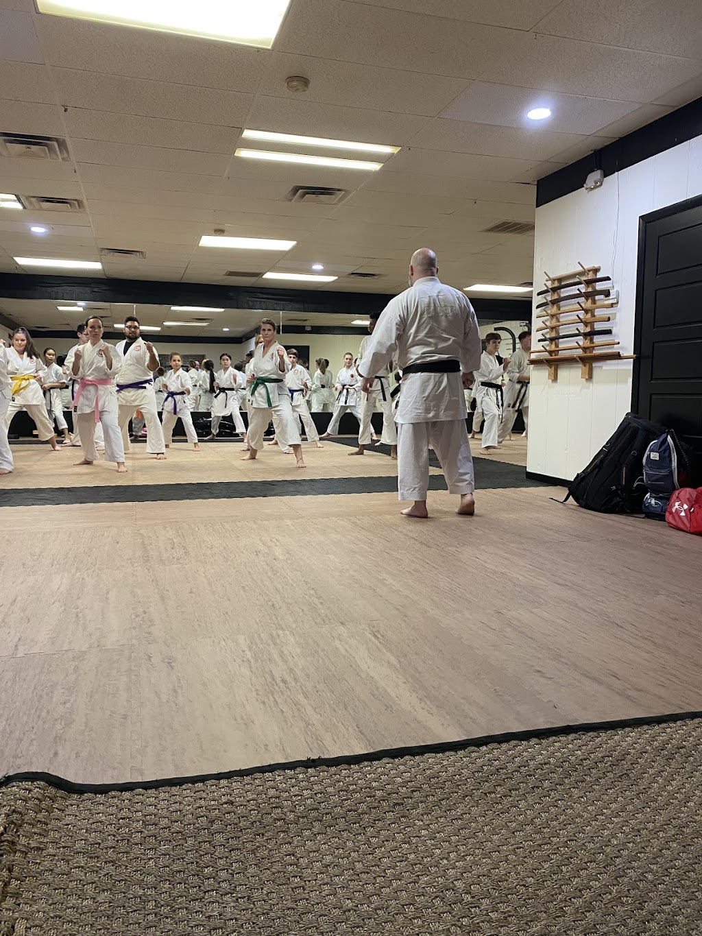 Kanzen Karate Do | 1525 9th St NE, Leeds, AL 35094, USA | Phone: (205) 508-0818