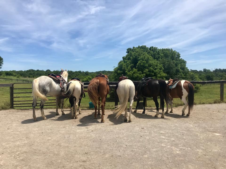 Shelby Trails Park & Red Fern Riding Center | 5063 Aiken Rd, Simpsonville, KY 40067, USA | Phone: (502) 437-4375