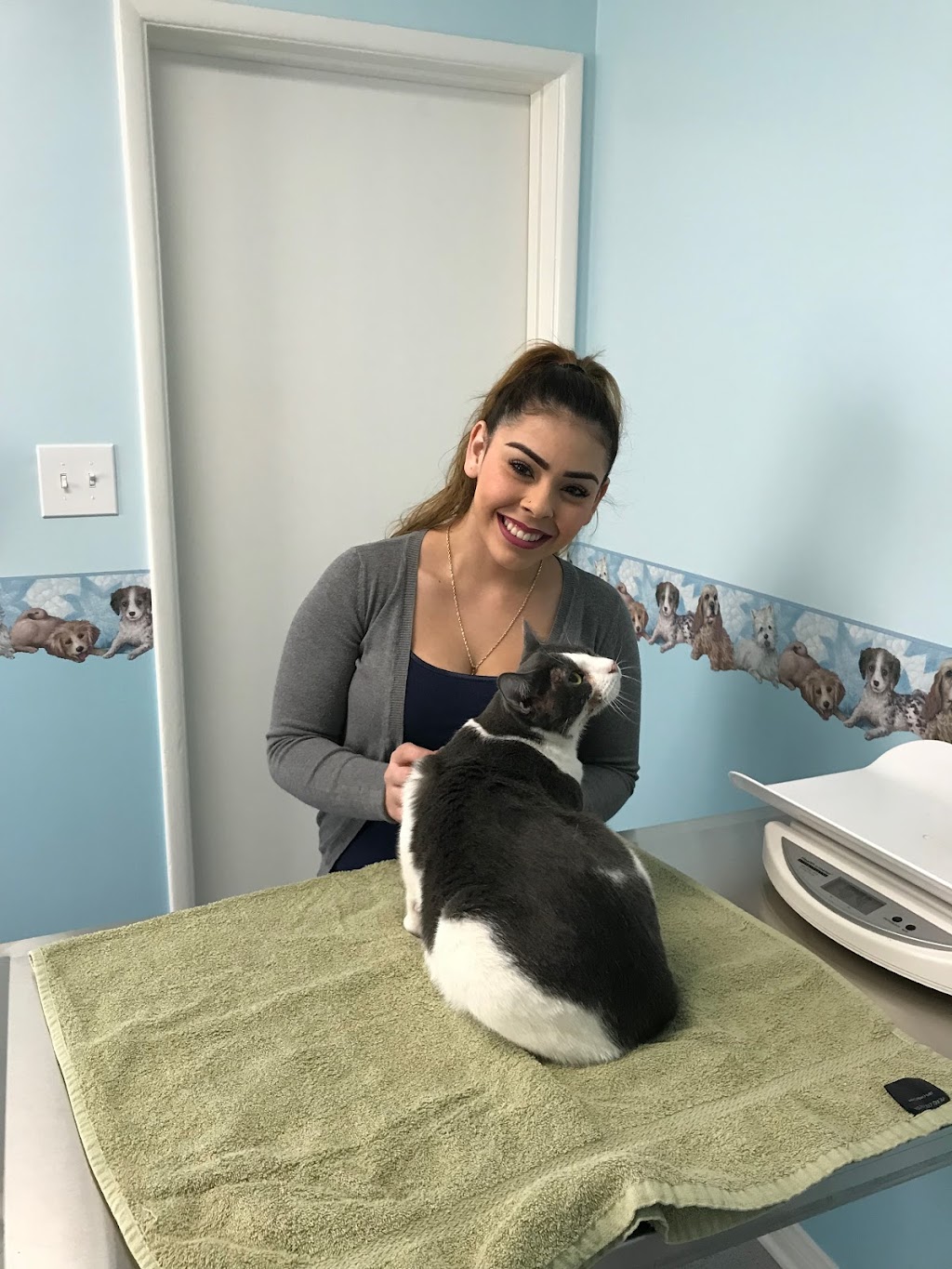 Temple City Animal Hospital | 5406 Rosemead Blvd, San Gabriel, CA 91776, USA | Phone: (626) 287-7387