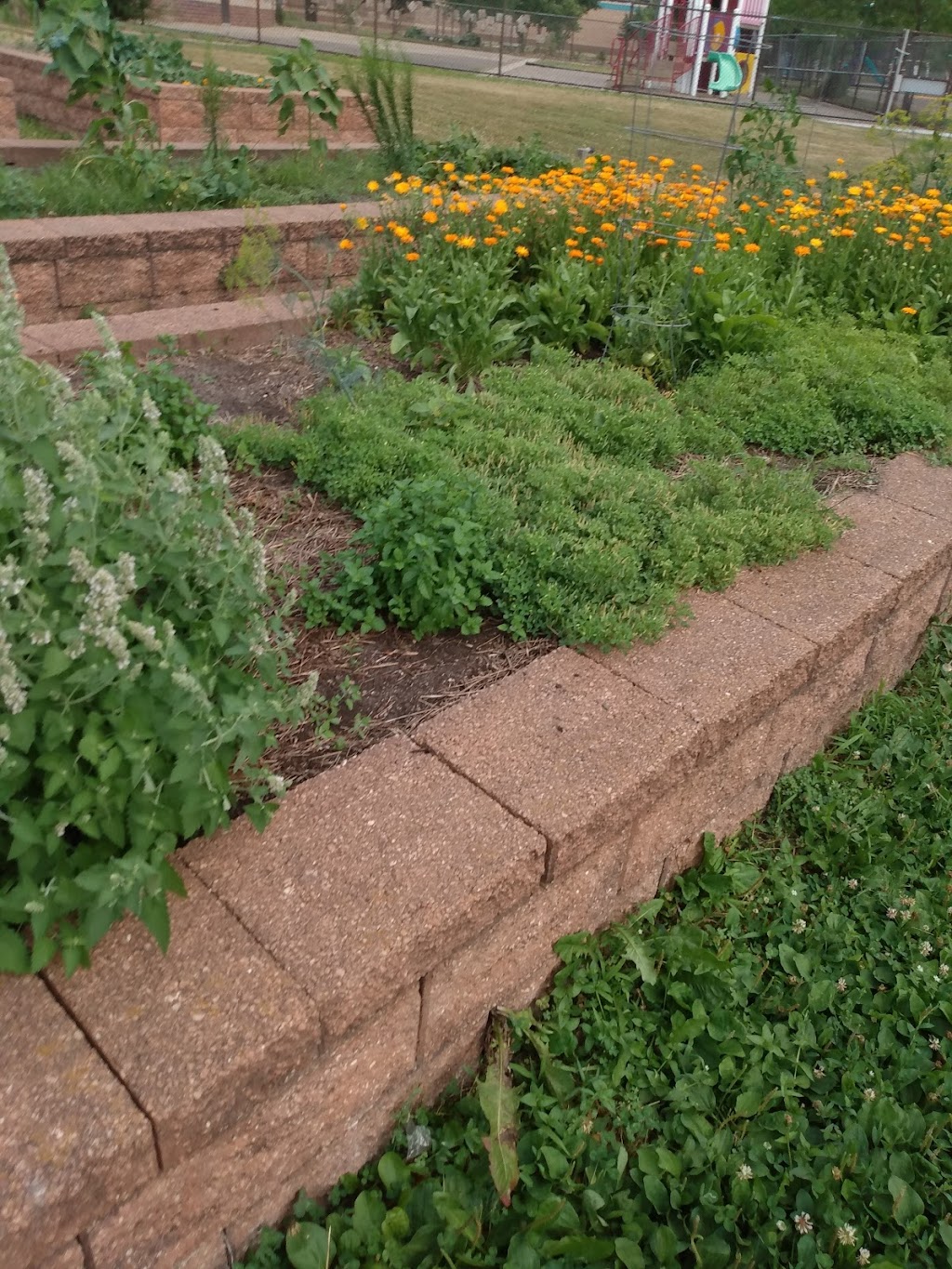 Jenny Lind Community Garden | 1053 51st Ave N, Minneapolis, MN 55430, USA | Phone: (612) 668-2020 Jenny Lind Community Garden | 1053 51st Ave N, Minneapolis, MN 55430, USA | Phone: (612) 668-2020
