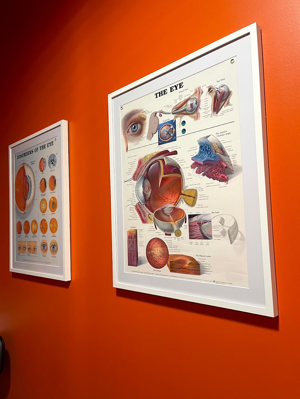 Eyewear Junkie, 2307 N Rock Rd 100b, Derby, KS 67037