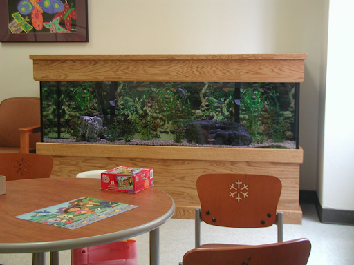 Southeastern Fish Tanks | 469 Isle of Pines Rd, Mooresville, NC 28117 | Phone: (704) 253-5322