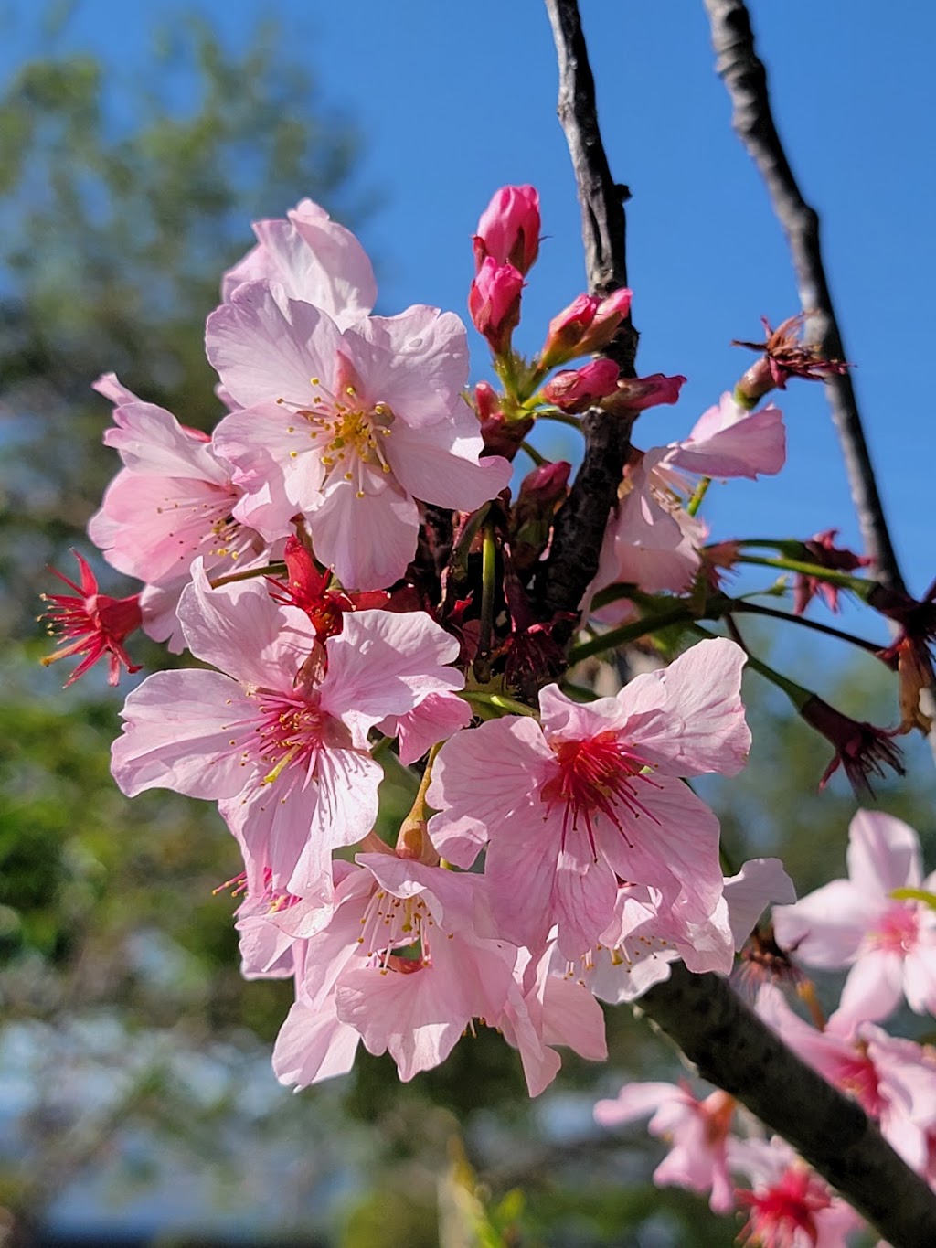 Columbia Park | 4045 190th St, Torrance, CA 90504, USA | Phone: (310) 328-5310 Columbia Park | 4045 190th St, Torrance, CA 90504, USA | Phone: (310) 328-5310