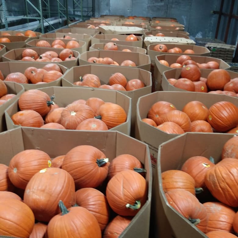 American Melon Sales, LLC. | 8107 E, US-175, Kemp, TX 75143, USA | Phone: (903) 498-0087