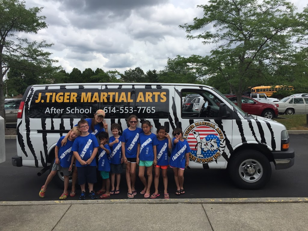 J.Tiger Martial Arts Taekwondo | 6627 Dublin Center Dr, Dublin, OH 43017, USA | Phone: (614) 553-7765
